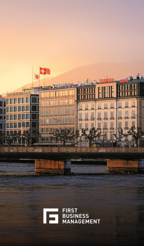 Création de l'identité visuelle et du site internet en responsive design pour la société First Business Management SA